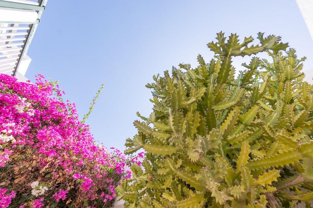 Bitacora Lanzarote Club Leilighet Puerto del Carmen  Eksteriør bilde